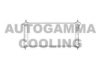 AUTOGAMMA 101337 Radiator, engine cooling